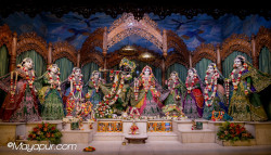 Daily Darshan