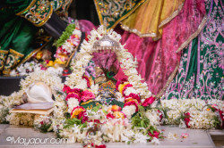 Daily Darshan