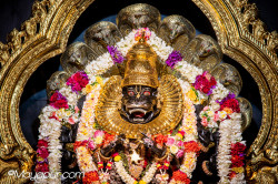 Daily Darshan