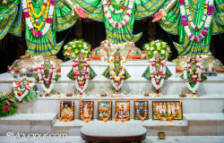 Daily Darshan
