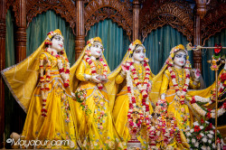 Daily Darshan
