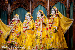 Daily Darshan