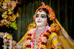 Daily Darshan