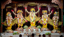 Daily Darshan