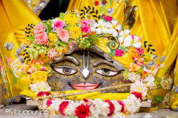 Daily Darshan