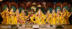 Daily Darshan