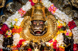 Daily Darshan