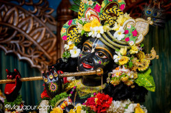 Daily Darshan