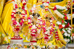 Daily Darshan
