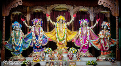 Daily Darshan