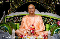 Daily Darshan