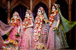 Daily Darshan