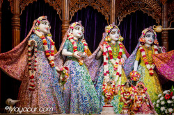 Daily Darshan