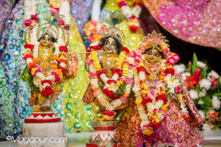 Daily Darshan