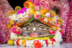 Daily Darshan