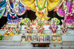 Daily Darshan