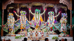 Daily Darshan