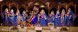 Daily Darshan