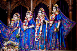 Daily Darshan