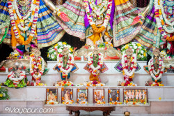 Daily Darshan