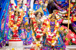 Daily Darshan