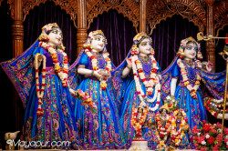 Daily Darshan