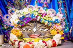 Daily Darshan
