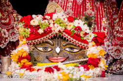 Daily Darshan