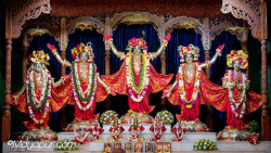 Daily Darshan