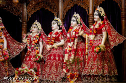 Daily Darshan