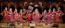 Daily Darshan