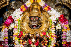 Daily Darshan