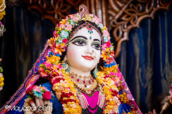 Daily Darshan