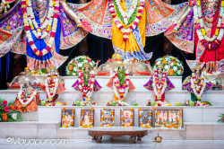 Daily Darshan