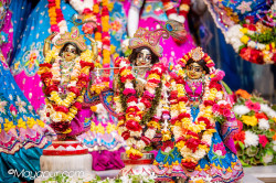 Daily Darshan
