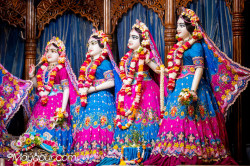 Daily Darshan