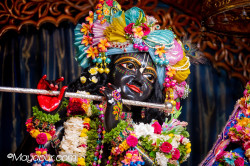 Daily Darshan
