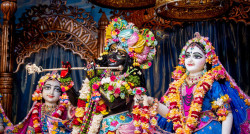 Daily Darshan