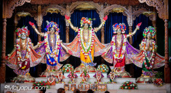 Daily Darshan