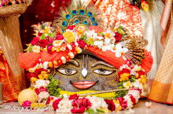 Daily Darshan