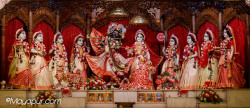 Daily Darshan