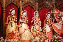 Daily Darshan