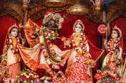 Daily Darshan