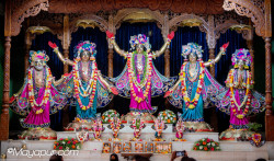 Daily Darshan