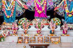 Daily Darshan