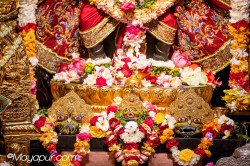 Daily Darshan