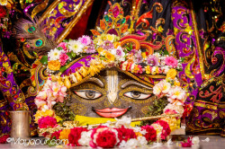 Daily Darshan