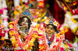 Daily Darshan