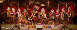 Daily Darshan