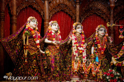 Daily Darshan
